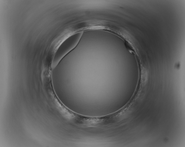 X0000110991193200906191420