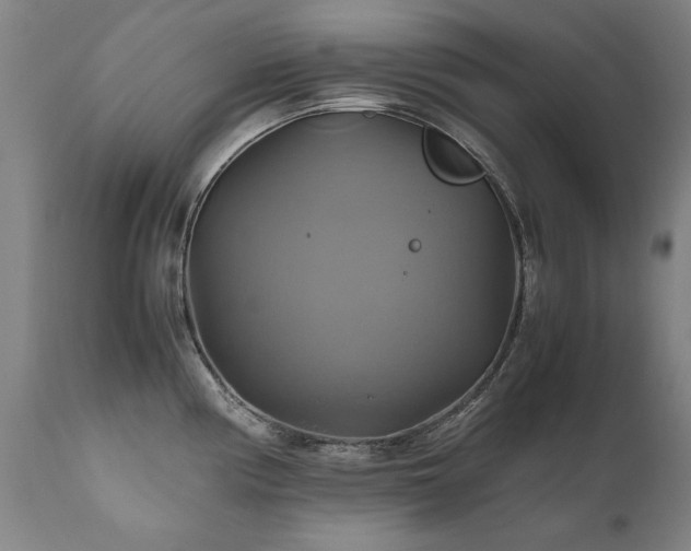 X0000110991194200906191420