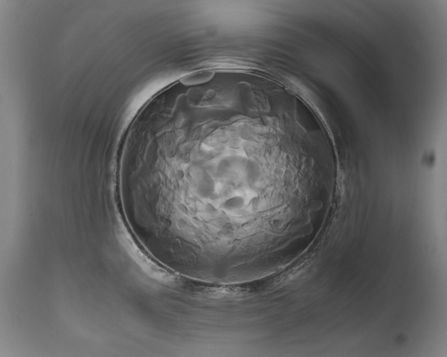 X0000110991195200906191420