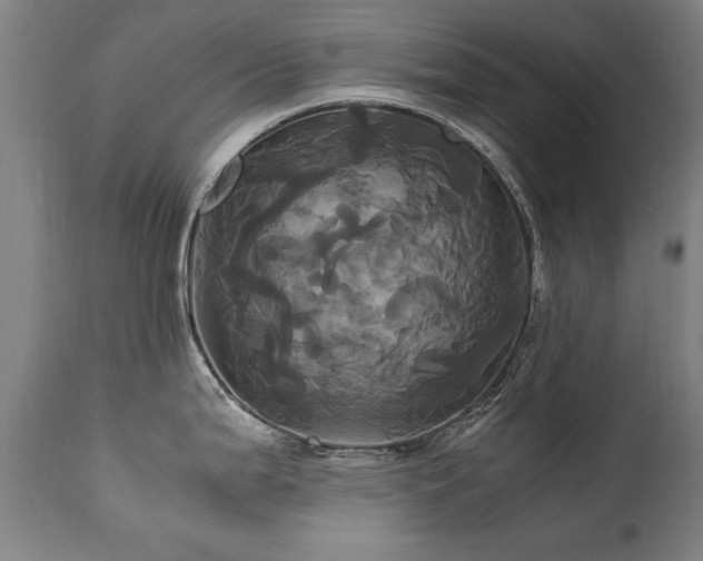 X0000110991199200906191420