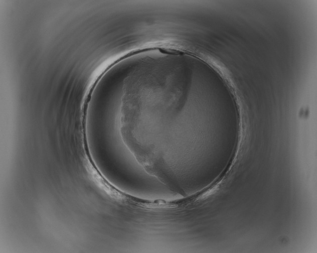 X0000110991200200906191420