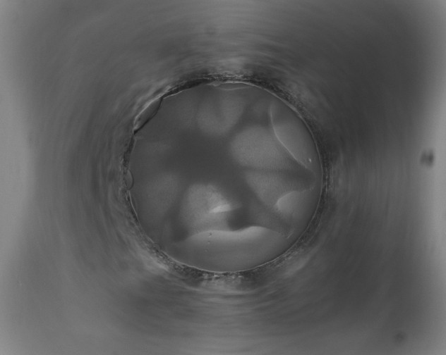 X0000110991201200906191419