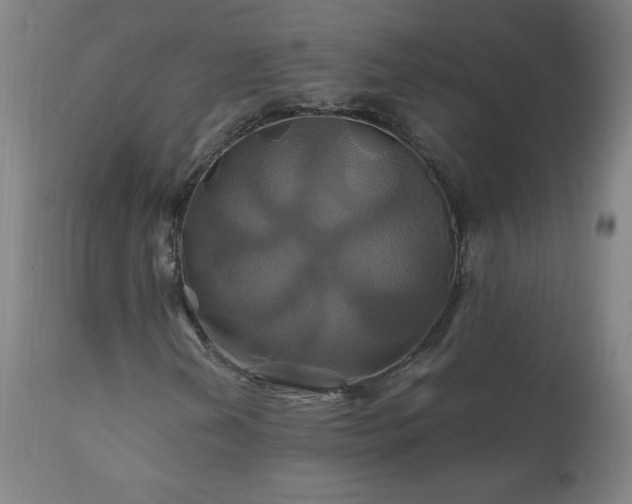 X0000110991202200906191419