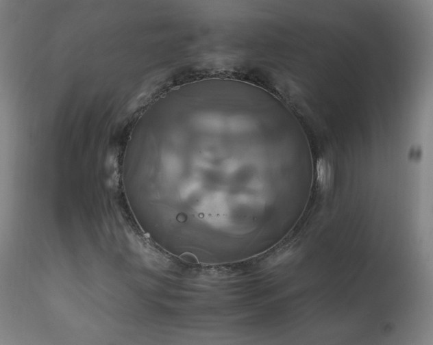 X0000110991203200906191419