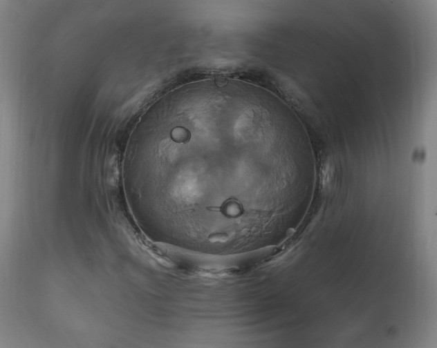 X0000110991204200906191419