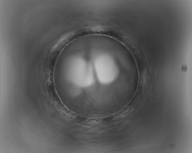 X0000110991205200906191419