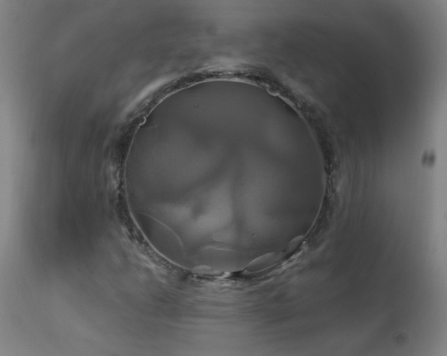 X0000110991206200906191419