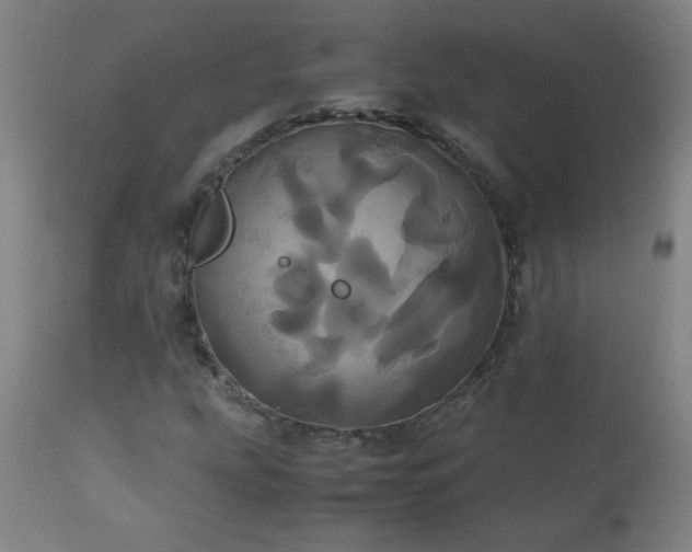 X0000110991207200906191419