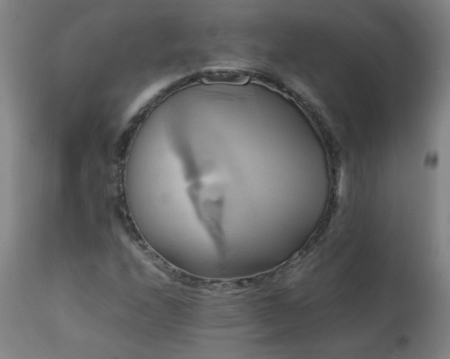 X0000110991208200906191419