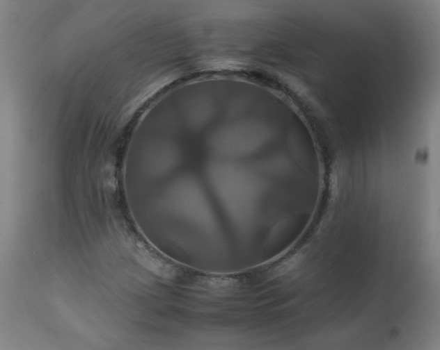 X0000110991209200906191419