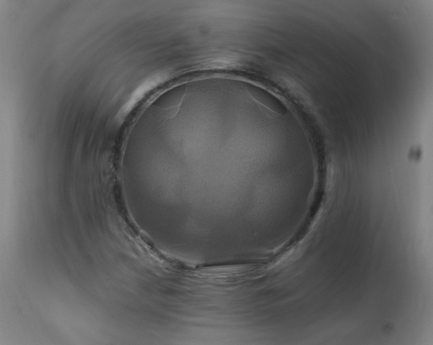 X0000110991210200906191419