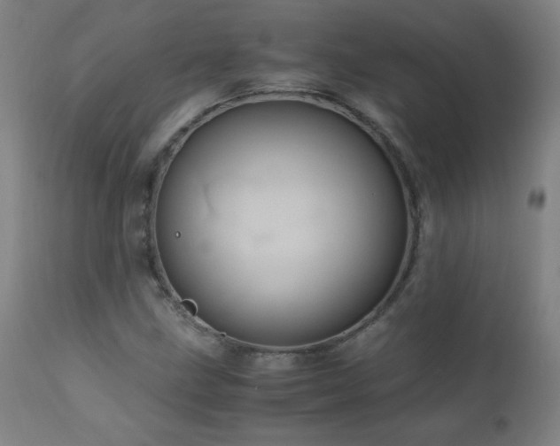 X0000110991211200906191419