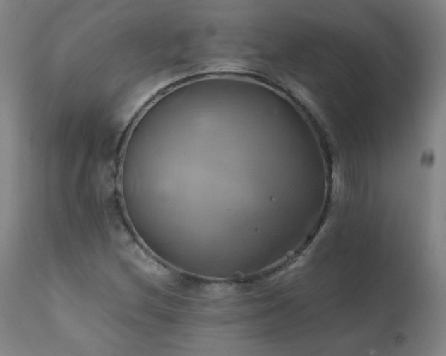 X0000110991212200906191419