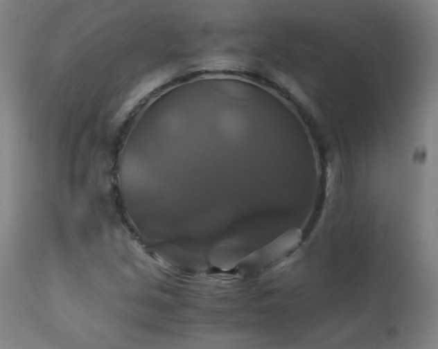 X0000110991213200906191419