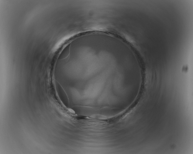 X0000110991214200906191419