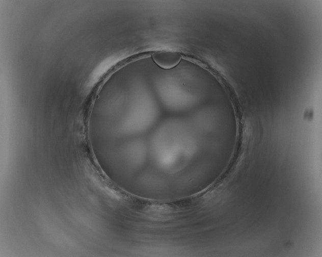 X0000110991215200906191419