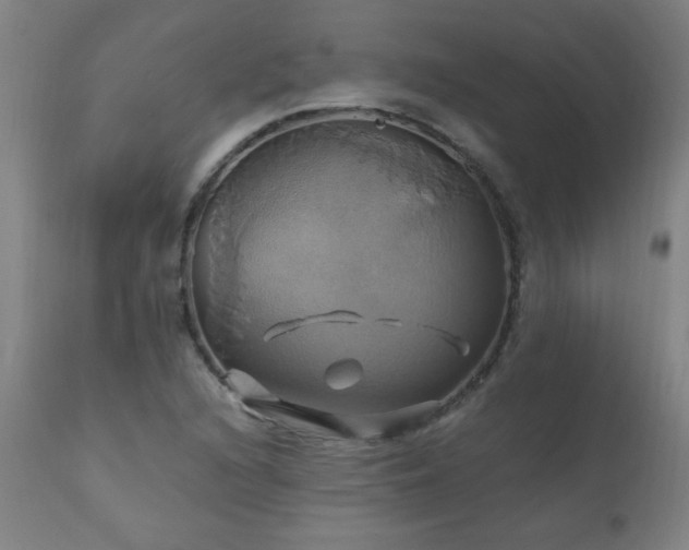 X0000110991216200906191419