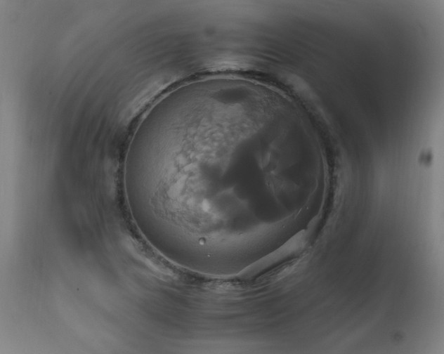 X0000110991217200906191419