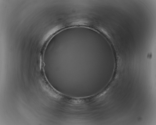 X0000110991219200906191419
