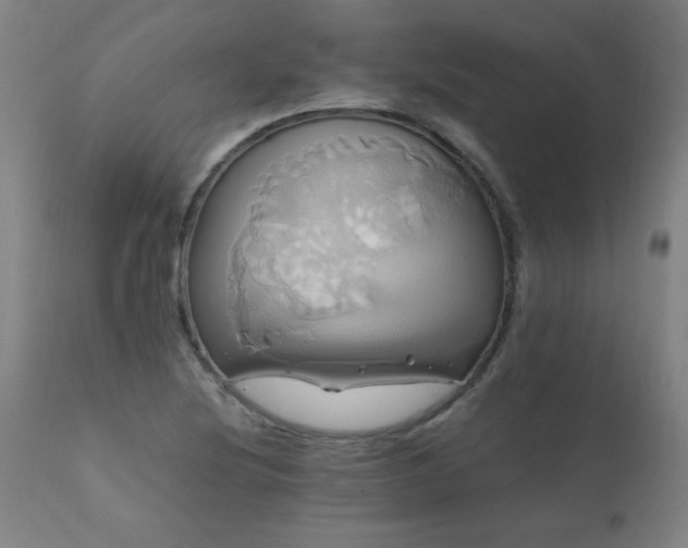 X0000110991220200906191419