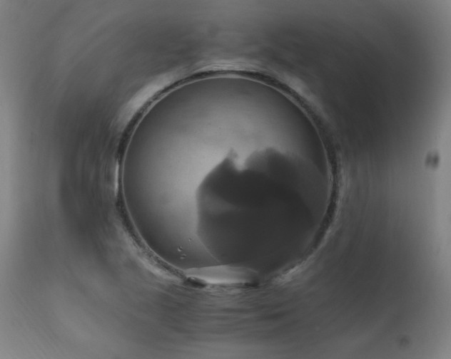 X0000110991221200906191419