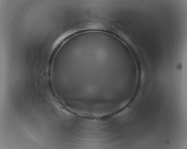 X0000110991222200906191419