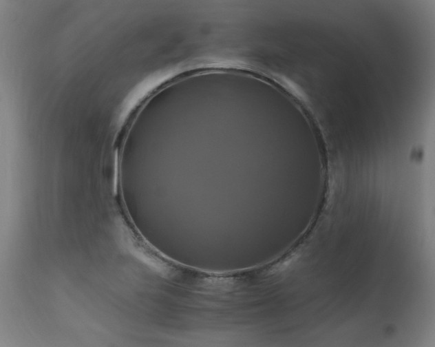 X0000110991223200906191419