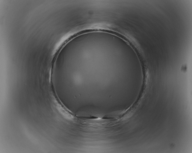 X0000110991224200906191419