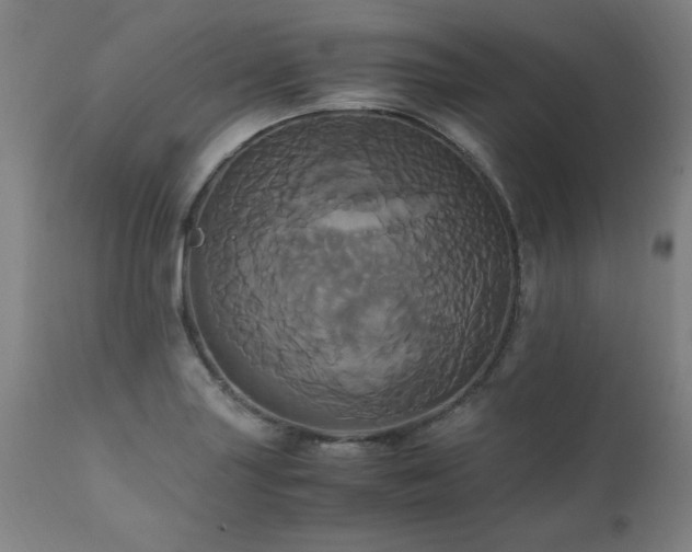 X0000110991227200906191419