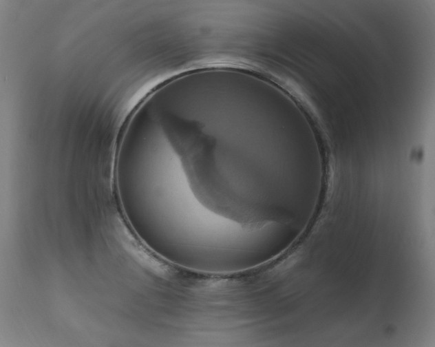 X0000110991228200906191419