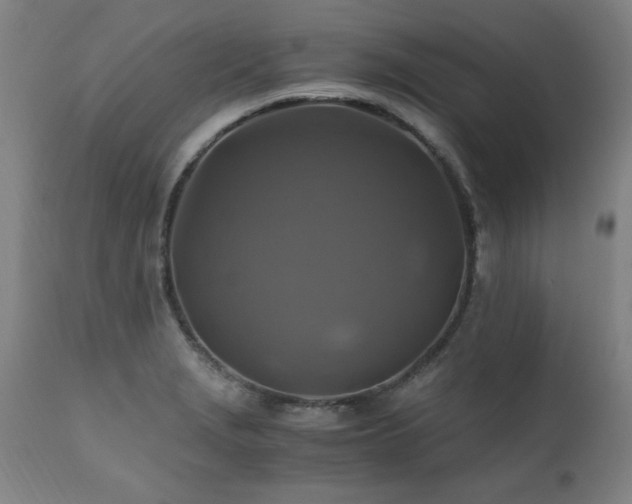 X0000110991229200906191419