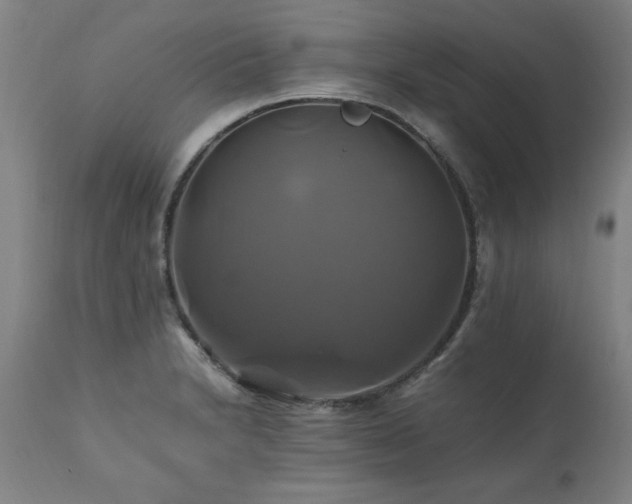 X0000110991230200906191419