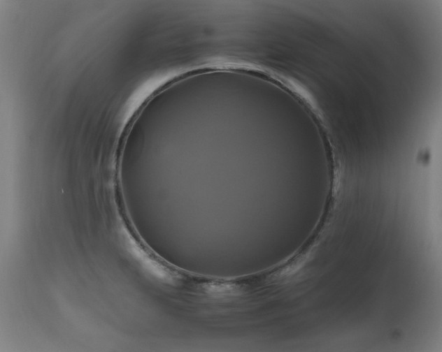 X0000110991231200906191419