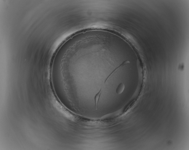 X0000110991232200906191419