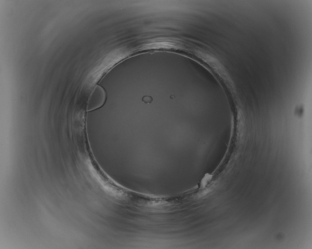 X0000110991233200906191419