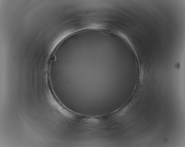 X0000110991235200906191420