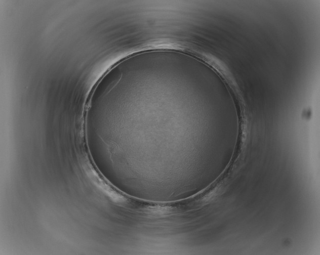 X0000110991236200906191420