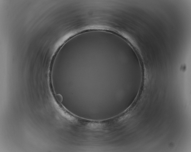 X0000110991237200906191420