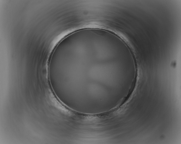 X0000110991238200906191420