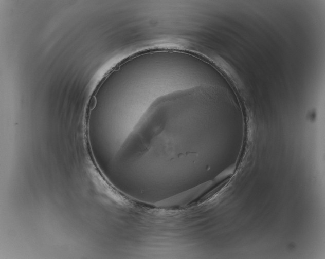 X0000110991240200906191420