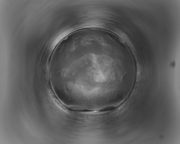 X0000110991242200906191420