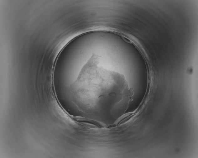 X0000110991244200906191420