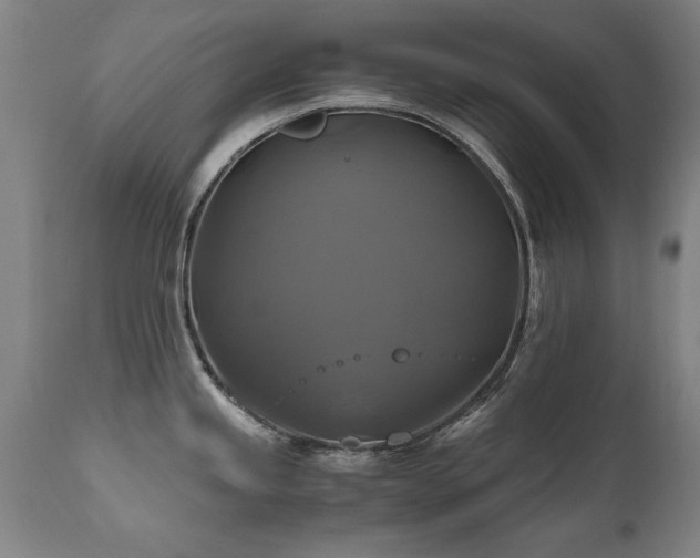 X0000110991245200906191420