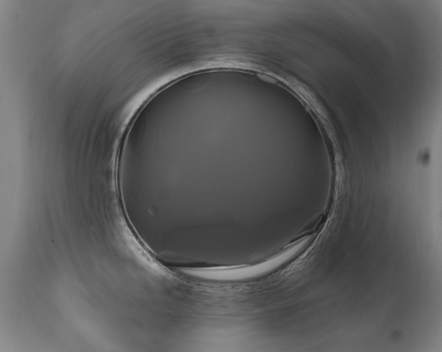 X0000110991246200906191420