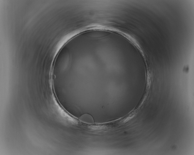 X0000110991247200906191420