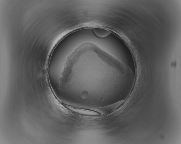 X0000110991248200906191420