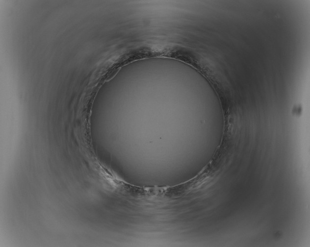 X0000110991249200906191419