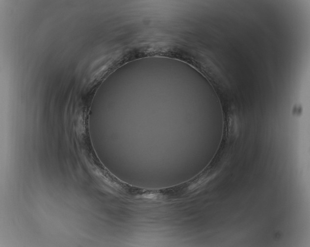 X0000110991250200906191419