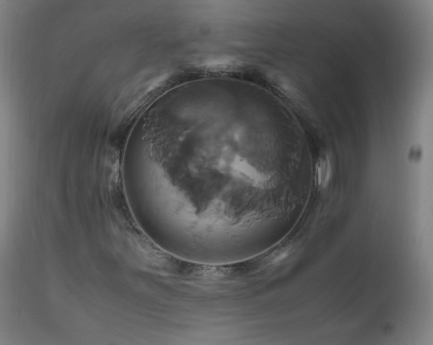 X0000110991251200906191419