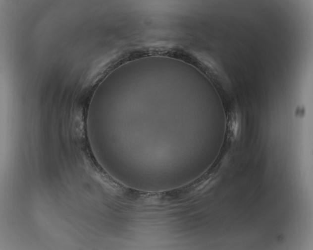 X0000110991252200906191419